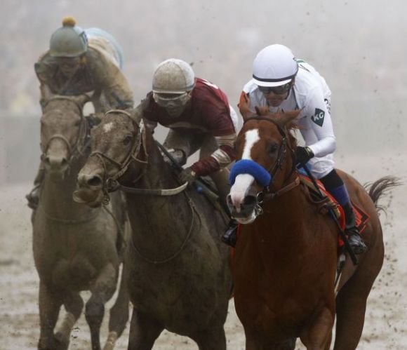 Justify Holds Off a Crowd, Captures Preakness