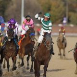 Accelerate Does Just That to Claim the $6million Breeders' Cup