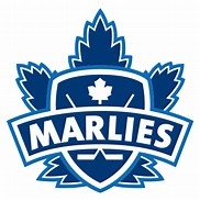 There's a Reason the Leafs Are Playing Like Marlies