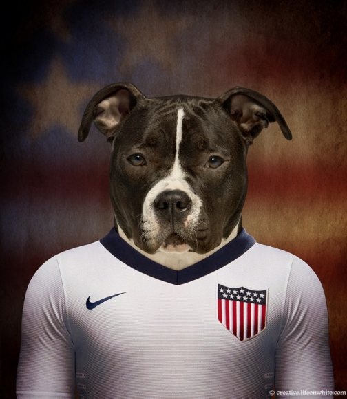Soccer in the USA: An Underdog Story