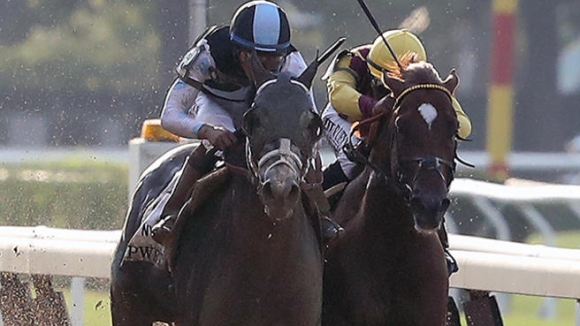 Tapwrit Wins the Belmont Because What the Hell, Why Not?
