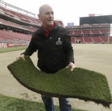 There will be no shortage of grass at the Super Bowl.