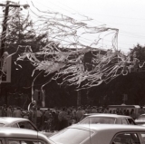TP'ing the telephone wires is how the Toomer's Corner tradition began, you know.
