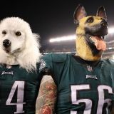 Know This: The Super Bowl's Gonna Be Close