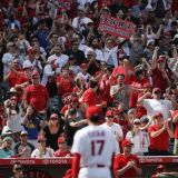 Shohei Ohtani Has a Boisterous Fanbase