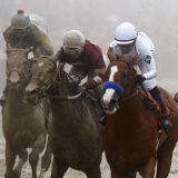 Justify Holds Off a Crowd, Captures Preakness