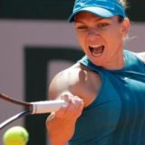 Halep's Gutsy Comeback Serves up Her First Grand Slam Title