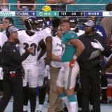 A Confused Kiko Alonso Infiltrates Enemy Sideline During Game