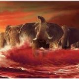 Sometimes, You've Gotta Dive Into the Red Tide