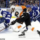 Please Enjoy the Following Save by Andrei Vasilevskiy