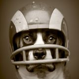 AAF: Spring Football League or Barking Dog with a Lisp?