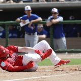The Entire City of Philadelphia Implodes after Bryce Harper Spring Plunking