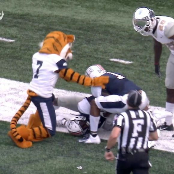 The Jackson State Tiger Appears to Have Attended the Interactive School of Mascoting