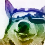 Taking a Bite outta the Rainbow