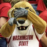 Wazzu Goes Retro, Cougs It by Blowing a 32-Point Lead in Loss to UCLA