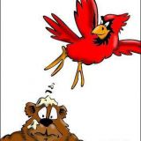 Cardinals Sweep Cubs with 4 Straight 1-Run Wins at Wrigley