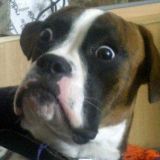 Spurs, Man City Antics Highlight the Night in Champions League Action