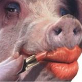 NCAAF Week 12 Totals Tout Analysis: It's the Bowl-Boosting Dog-&-Pony Show