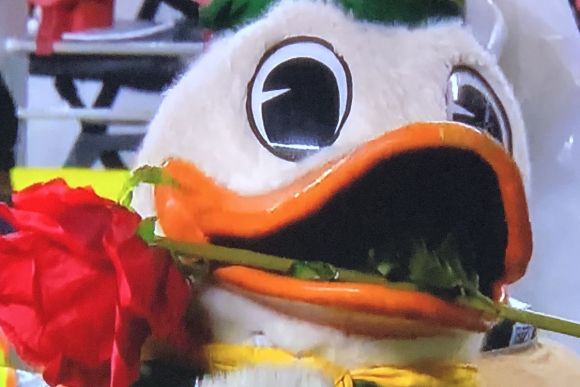 Ducks Out-Ute the Utes to Claim Pac-12 Title