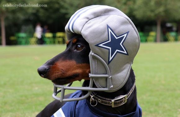 NFL Week 14 ATS Hit List: Is the NFC East Worth It?