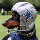 NFL Week 14 ATS Hit List: Is the NFC East Worth It?