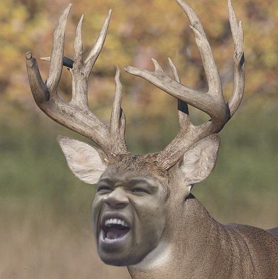 Giannis Is Playing for a Pretty Decent Team