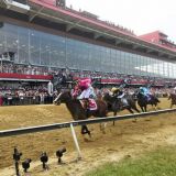 Pimlico Renovation Approval Will Keep Preakness in Baltimore