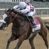 Tiz the Law Plays the Homeboy Card in a Funky Belmont Stakes
