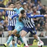 Seagulls Surprise Spurs by the Seashore