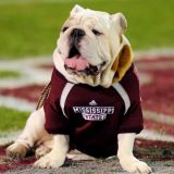 Live Animal Mascots Gone Wild: The Bully Edition