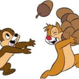 NCAAF Week 11 ATS Hit List: Who Else Is Cuttin' Nuts This Weekend?