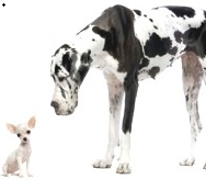 Washington Wins; Does Anything That's Left Matter? 