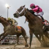 Horse-Doping Roundup Corrals 27 Perps