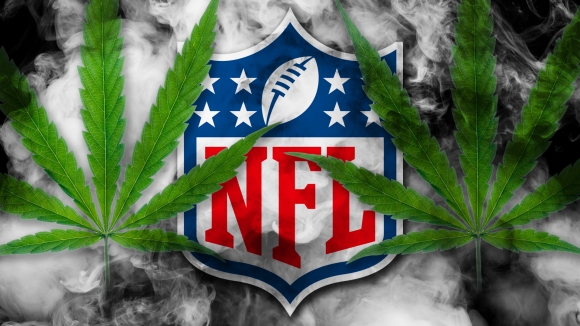 Farmer Jones and the Pot Almanac