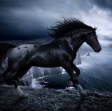 Tottenham Remains the Premiership's Dark Horse