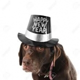 Liverpool’s New Year Crushed by the Hammers