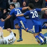 These Foxes could care less about being hunted.