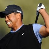 Tiger's Lost Roar on Display 