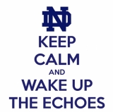 Notre Dame Pauses Epic Freefall to Beat Army