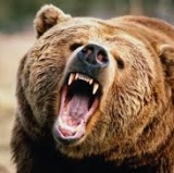 The Shot Dude: Poke the Bear