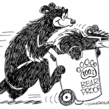 BEAR-ing Down