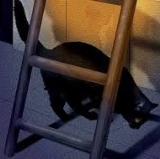 Giants Diary: Ready or Not, Bring on the Snakes