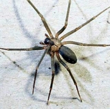 Guess What Day It Was! Guess What Day!