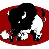 Play Buffalo; No Bull!