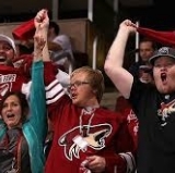 New Name, Same Barn: Arizona Coyotes Arise Like a Phoenix