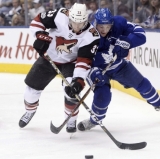 The Coyotes Are Rolling Now