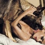 The South Side Dogs Sniff a Result Up North