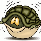 Shell Shocked