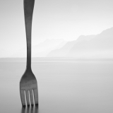 Giants Diary: Bay Area Teams All Forked Up