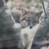 Probably not the best decision.